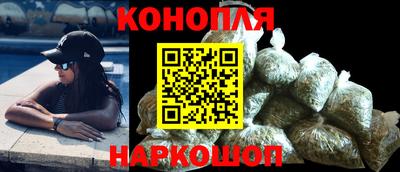 Альфа ПВП Камышлов