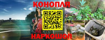 apvp Кандалакша
