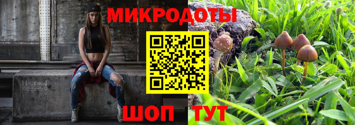 Псилоцибиновые грибы мицелий Королёв
